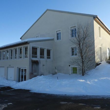Apf France Handicap - Ferme Leonie Saint-Laurent-en-Grandvaux 外观 照片